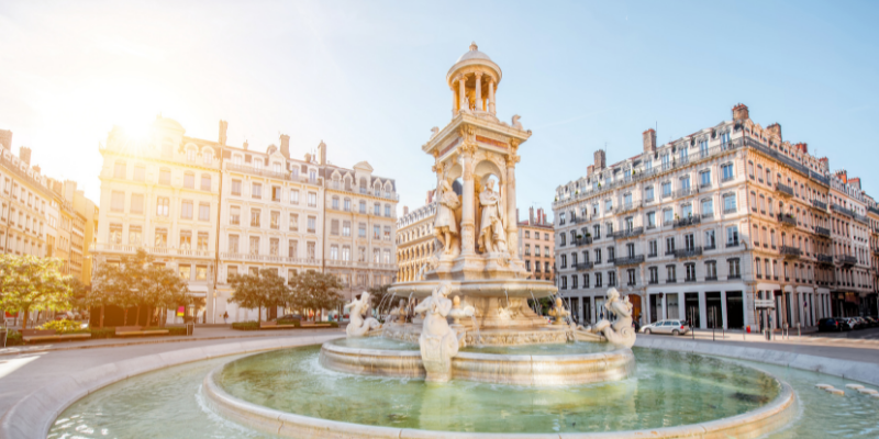 traitement de puces de lit à Lyon